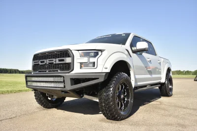 AVALANCHE - 2016 FORD F-150 RAPTOR X - Image 11 of 15