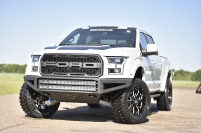 AVALANCHE - 2016 FORD F-150 RAPTOR X - Image 15 of 15