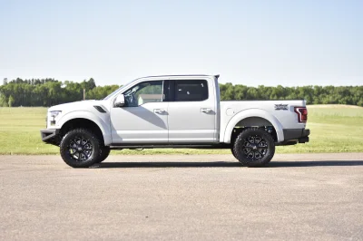 AVALANCHE - 2016 FORD F-150 RAPTOR X - Image 3 of 15
