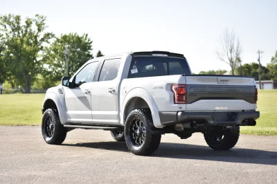 AVALANCHE - 2016 FORD F-150 RAPTOR X - Image 4 of 15
