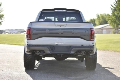 AVALANCHE - 2016 FORD F-150 RAPTOR X - Image 5 of 15