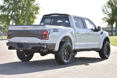 AVALANCHE - 2016 FORD F-150 RAPTOR X - Image 6 of 15