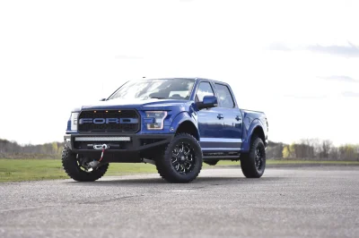 BLUE FLAME 1 - 2016 FORD F-150 RAPTOR X - Image 12 of 16
