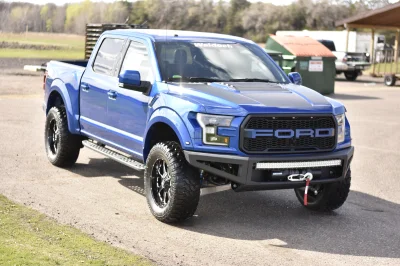 BLUE FLAME 1 - 2016 FORD F-150 RAPTOR X - Image 3 of 16