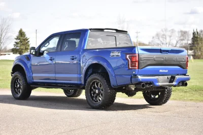 BLUE FLAME 1 - 2016 FORD F-150 RAPTOR X - Image 6 of 16