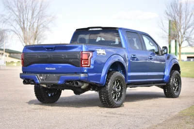 BLUE FLAME 1 - 2016 FORD F-150 RAPTOR X - Image 8 of 16