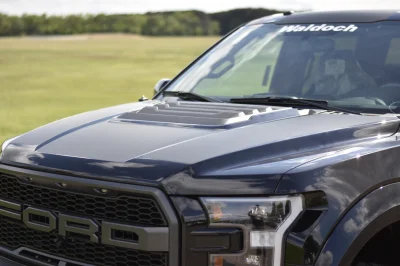 SHADOW BLACK 1 - 2016 FORD F-150 RAPTOR X - Image 10 of 15