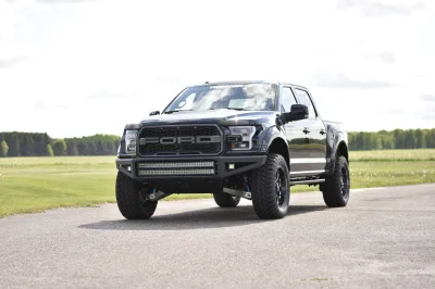 SHADOW BLACK 1 - 2016 FORD F-150 RAPTOR X - Image 3 of 15