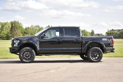 SHADOW BLACK 1 - 2016 FORD F-150 RAPTOR X - Image 5 of 15