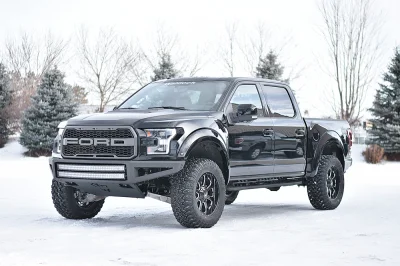 SHADOW BLACK 2 - 2016 FORD F-150 RAPTOR X - Image 2 of 12