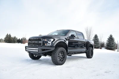 SHADOW BLACK 2 - 2016 FORD F-150 RAPTOR X - Image 7 of 12