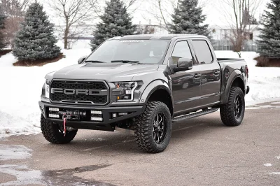 MAGNETIC 1 - 2016 FORD F-150 RAPTOR X - Image 1 of 15