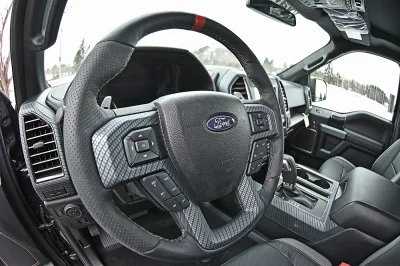 MAGNETIC 1 - 2016 FORD F-150 RAPTOR X - Image 12 of 15