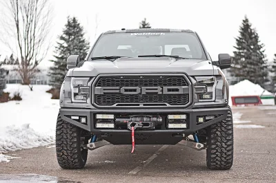 MAGNETIC 1 - 2016 FORD F-150 RAPTOR X - Image 3 of 15