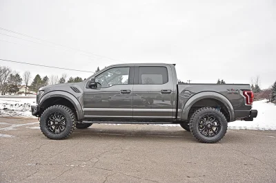 MAGNETIC 1 - 2016 FORD F-150 RAPTOR X - Image 4 of 15