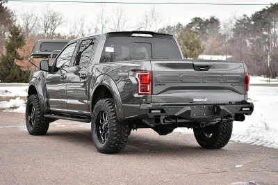 MAGNETIC 1 - 2016 FORD F-150 RAPTOR X - Image 5 of 15