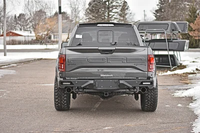 MAGNETIC 1 - 2016 FORD F-150 RAPTOR X - Image 6 of 15