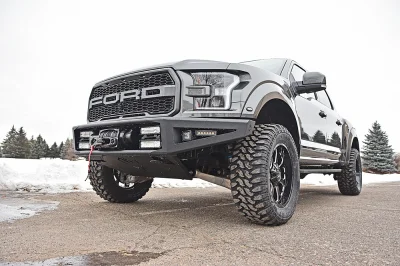 MAGNETIC 1 - 2016 FORD F-150 RAPTOR X - Image 8 of 15