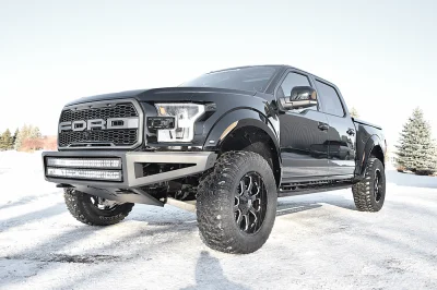 SHADOW BLACK 3 - 2016 FORD F-150 RAPTOR X - Image 1 of 14