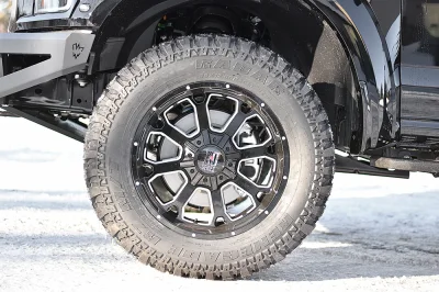 SHADOW BLACK 3 - 2016 FORD F-150 RAPTOR X - Image 12 of 14