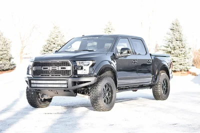 SHADOW BLACK 3 - 2016 FORD F-150 RAPTOR X - Image 3 of 14