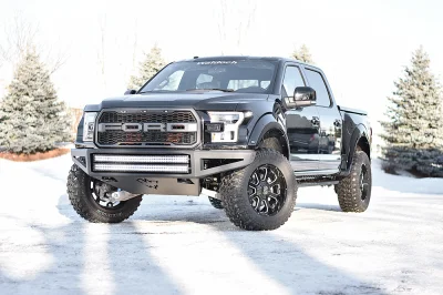 SHADOW BLACK 3 - 2016 FORD F-150 RAPTOR X - Image 4 of 14