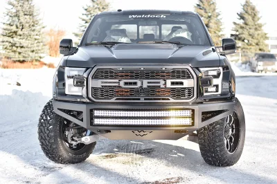 SHADOW BLACK 3 - 2016 FORD F-150 RAPTOR X - Image 6 of 14