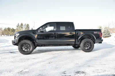 SHADOW BLACK 3 - 2016 FORD F-150 RAPTOR X - Image 9 of 14