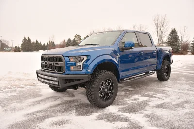 BLUE FLAME 2 - 2016 FORD F-150 RAPTOR X - Image 2 of 15