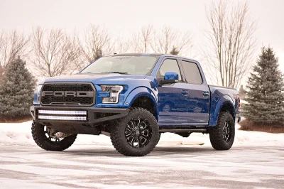 BLUE FLAME 2 - 2016 FORD F-150 RAPTOR X - Image 5 of 15