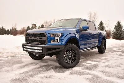 BLUE FLAME 2 - 2016 FORD F-150 RAPTOR X - Image 6 of 15