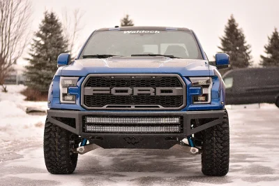 BLUE FLAME 2 - 2016 FORD F-150 RAPTOR X - Image 7 of 15