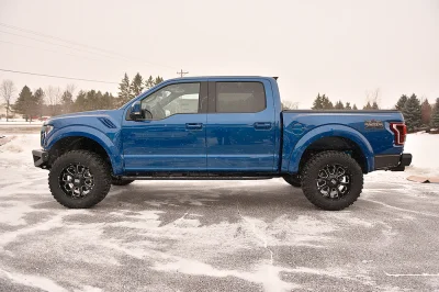 BLUE FLAME 2 - 2016 FORD F-150 RAPTOR X - Image 8 of 15