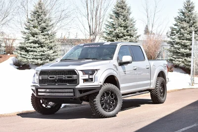 INGOT SILVER 1 - 2016 FORD F-150 RAPTOR X - Image 12 of 16