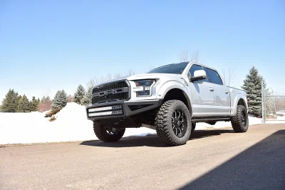 INGOT SILVER 1 - 2016 FORD F-150 RAPTOR X - Image 3 of 16
