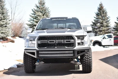 INGOT SILVER 1 - 2016 FORD F-150 RAPTOR X - Image 8 of 16