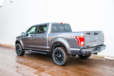 MAGNETIC 1 - 2019 FORD F-150 M80 - Image 5 of 18