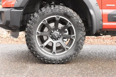 RACE RED 4 - 2019 FORD F-150 M80 - Image 8 of 10