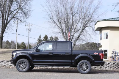 SHADOW BLACK 3 - 2019 FORD F-150 M80 - Image 3 of 8