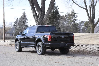 SHADOW BLACK 3 - 2019 FORD F-150 M80 - Image 4 of 8