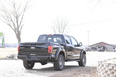 SHADOW BLACK 3 - 2019 FORD F-150 M80 - Image 6 of 8