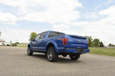 BLUE FLAME - 2019 FORD F-150 M80 - Image 2 of 10