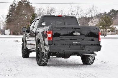 SHADOW BLACK 8 - 2019 FORD F-150 M80 - Image 4 of 21