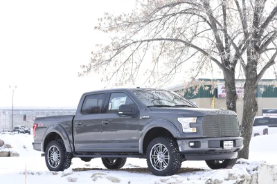 MAGNETIC 4 - 2019 FORD F-150 M80 - Image 2 of 8