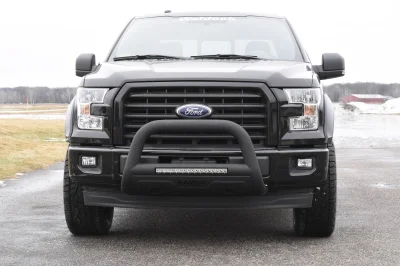 SHADOW BLACK 6 - 2019 FORD F-150 M80 - Image 2 of 14