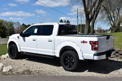 OXFORD WHITE 2 - 2020 FORD F-150 LEVEL - Image 3 of 14