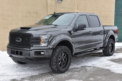 MAGNETIC 1 - 2020 FORD F-150 M80 - Image 1 of 11
