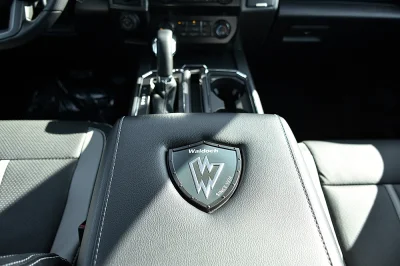 MAGNETIC 6 - 2020 FORD F-150 RAMPAGE - Image 15 of 17