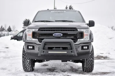 MAGNETIC 5 - 2020 FORD F-150 RAMPAGE - Image 2 of 12