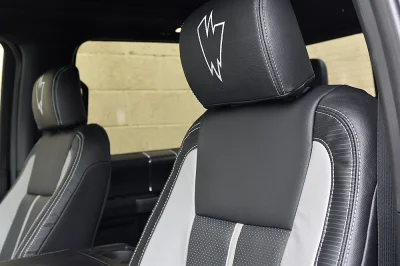 SHADOW BLACK 6 - 2020 FORD F-150 RAMPAGE - Image 13 of 15